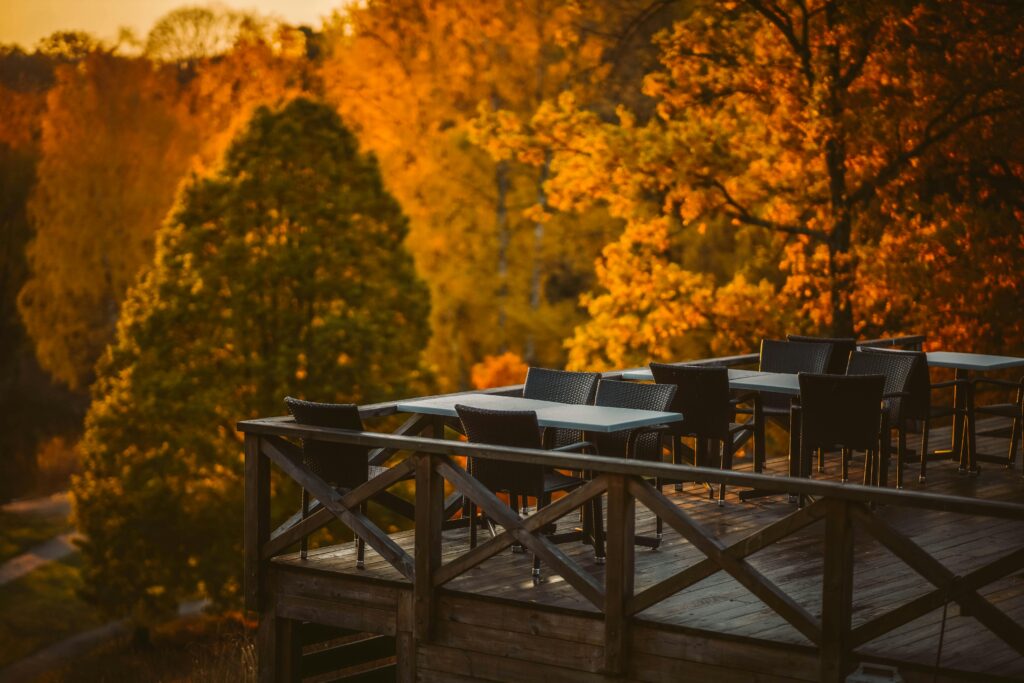 Scenic deck overlooking vibrant autumn foliage in Solna, Stockholm County.